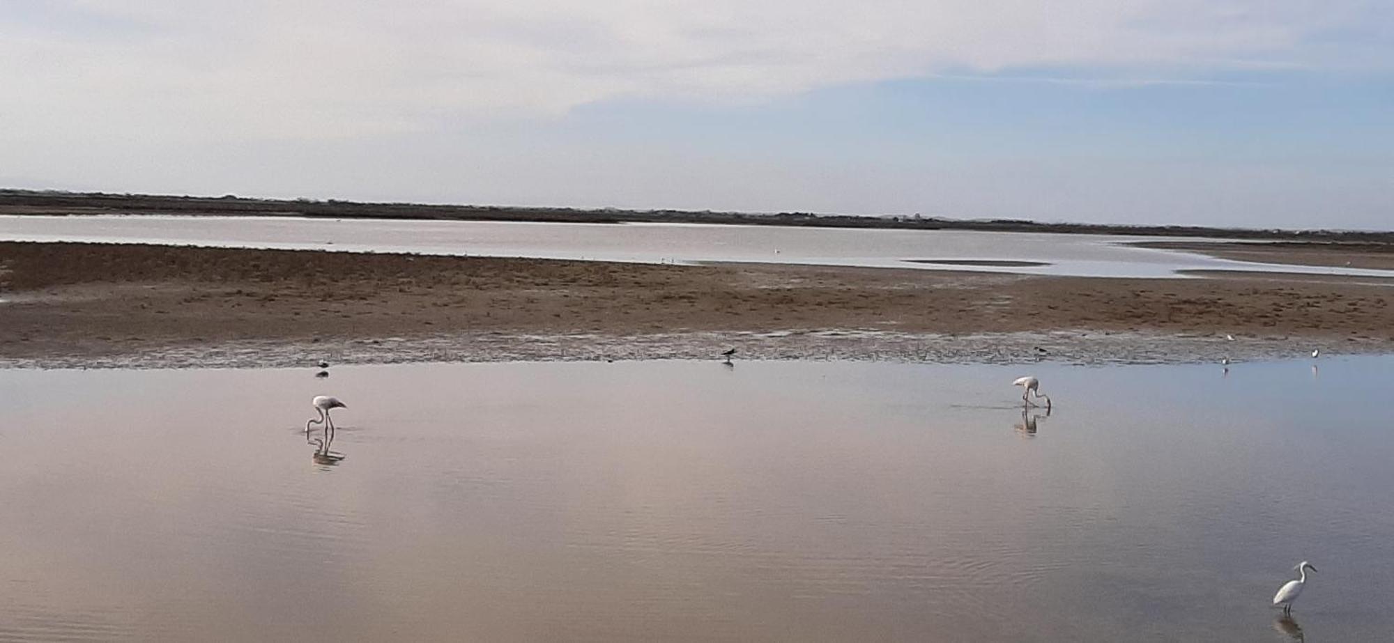 Appartement Calme A Deux Pas De La Mer Saintes-Maries-de-la-Mer Exteriér fotografie